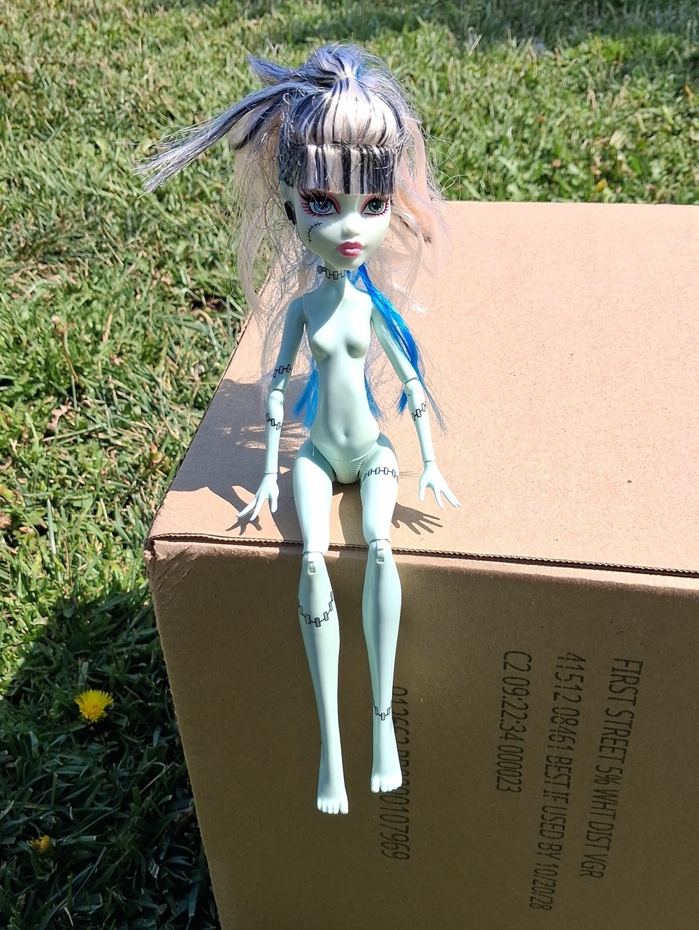 Monster High Frankie Dawn Doll